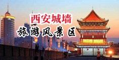 操逼网站色中国陕西-西安城墙旅游风景区
